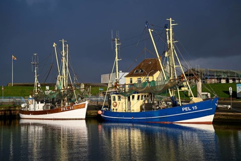 Fishing boats in the harbour of Tammensiel, Pellworm Island, Schleswig-Holstein Wadden Sea National