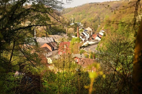 Iserlohn. This year's unusually warm weather in April has already given us a May. Nature exploded
