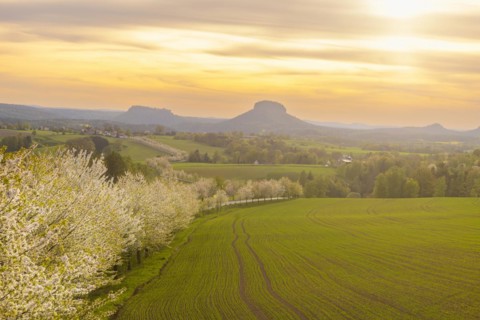 Spring in Saxon Switzerland, Altendorf, Saxony, Germany, Europe