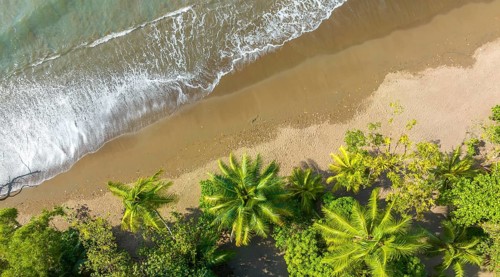 Aerial view, Top Down, Panorama, Marino Ballena National Park, Osa National Park, dream beach and