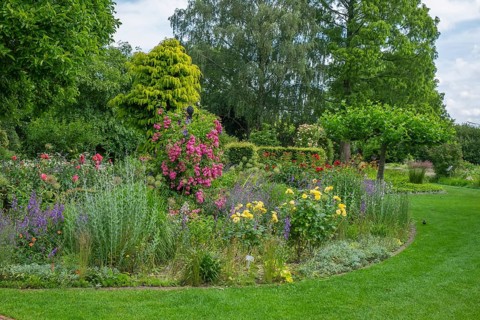 Perennial bed with roses, Burgsteinfurt district educational garden, Münsterland, North