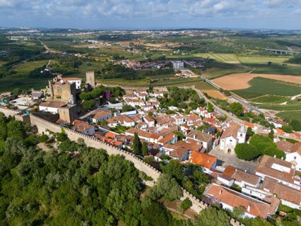 Aerial view of a town with red roofs, historical buildings and a castle, embedded in a green