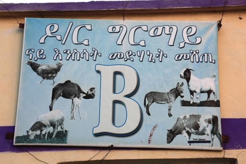 Aksum, Axum, advertising sign of a butcher's shop, Ethiopia, Africa
