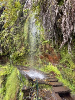 Hiking trail with waterfall on the Levada Nova and Levada do Moinho, Madeira, Portugal, Europe
