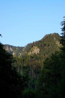 Mountain world near Kochel am See, August, Bavaria, Germany, Europe