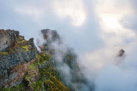 A mountain covered in fog and clouds with blooming Cytisus shrubs. Near Pico de Arieiro, Madeira