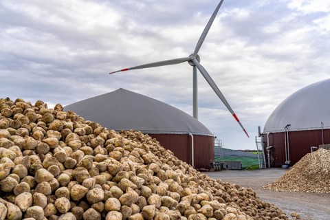 Biogas plant produces gas from various biomass, here the sugar beet storage, the electricity is