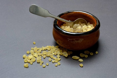 Mastic, resin from the mastic pistachio tree, Pistacia lentiscus, mastic resin in shells