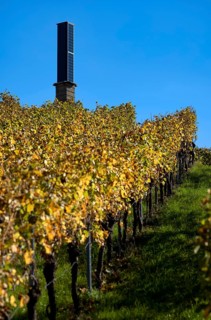 Station, solar tower for power generation using solar energy, vineyard, vines, grapevines,