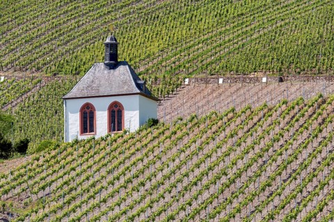 Kesselstatt Chapel in the vineyards near Kröv, burial chapel, Moselle, Rhineland-Palatinate,