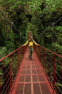 Young man, tourist on red suspension bridge between the treetops in the rainforest, Monteverde