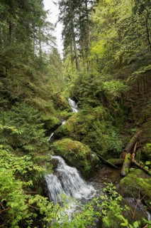 Moss-covered rocks and waterfall, Wutach Gorge, Bonndorf, Baden-Württemberg, Black Forest, Germany,