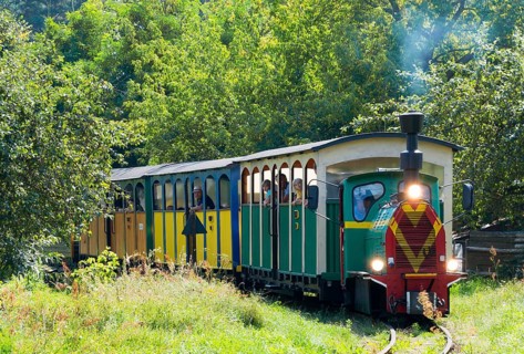 A train runs on tracks through a green, summery landscape, diesel locomotive, Wls 40 type light
