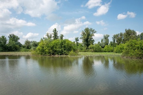 Parco del Mincio, Mantua, Italy, Europe