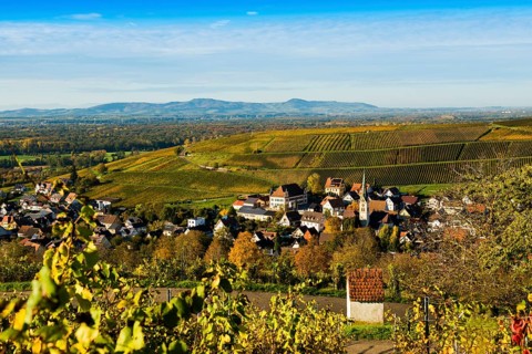 Hilly landscape and village with vineyards in autumn, Ebringen, near Freiburg im Breisgau,