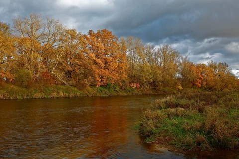 Autumn foliage colouring on the banks of the Mulde river near Dessau, Autumn atmosphere in the