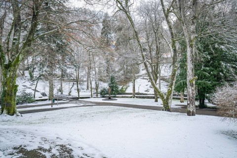 Snowy park with bare trees and walking paths on a wintry day, spa garden, Bad Wildbad, Black