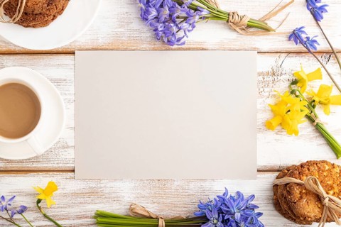 Gray paper sheet with oatmeal cookies, spring snowdrop flowers bluebells, narcissus and cup of