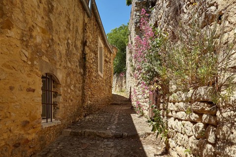 Narrow alley with steps between old stone houses in La Roque-sur-Cèze, Gard department, Occitanie