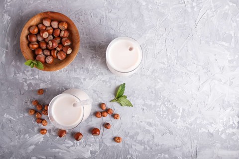 Organic non dairy hazelnut milk in glass and wooden plate with hazelnuts on a gray concrete