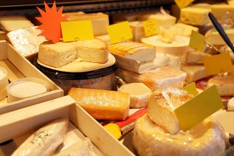 Cheese counter with a variety of different cheeses