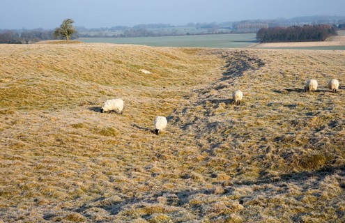 Earthwork embankments at Windmill Hill, a Neolithic causewayed enclosure, near Avebury, Wiltshire,