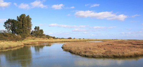 Landscape at high tide Barthorp's Creek, Hollesley Bay, near Shingle Street, Suffolk, England, UK