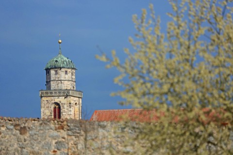 Tower of St George's Church and shrub in bloom in spring, light mood, spire, town wall,