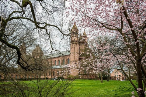 St Peter's Cathedral, Kaiserdom, Worms Cathedral, Worms, Rhineland-Palatinate, Germany, Europe