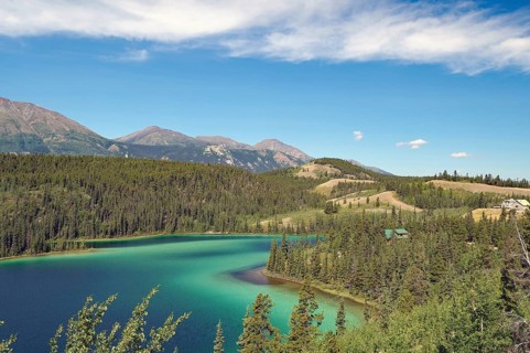 Turquoise green lake on forested slopes, summer, Emerald Lake, Yukon Territory, Canada, North