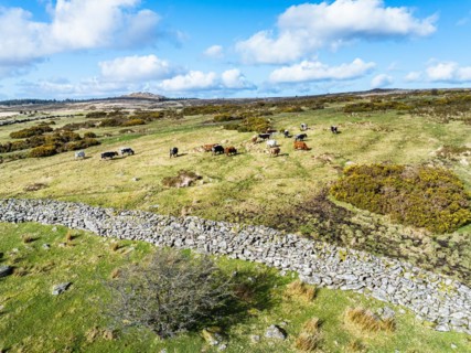 Farms over West Dart River in Dartmoor National Park, Devon, England, United Kingdom, Europe