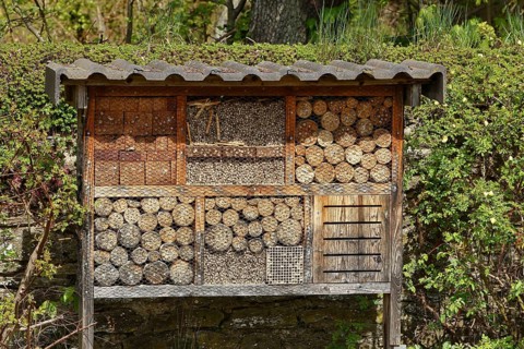 Insect hotel for solitary bees and artificial nesting site for other insects and invertebrates with