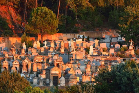 A serene hillside cemetery with numerous tombstones bathed in the warm glow of a setting sun,