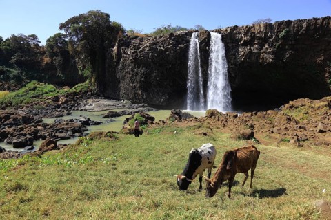 Ahamra region, landscape at the Blue Nile waterfall, in the highlands of Abyssinia, Blue Nile, Tis