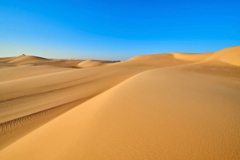 Wide sand dunes under a blue sky in the desert, Matruh, Great Sand Sea, Libyan Desert, Sahara,
