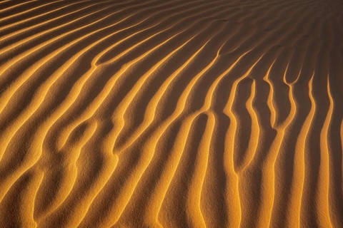 Sand structures, Rub Al Khali desert, largest sand desert on earth, Empty Quarter, Oman, Asia