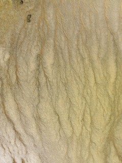 Marshland at low tide. Nature Reserve La Breña y Marismas del Barbate. Aerial view. Drone shot.