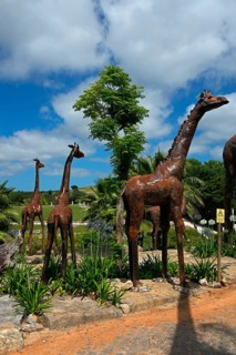 Metal sculptures of giraffes in a natural park setting with trees under a blue sky, Bacalhôa,
