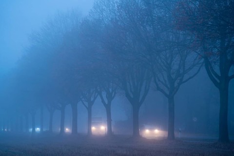 Country road B 57 near Erkelenz, autumn, fog, rainy weather, tree-lined avenue, wet road, North