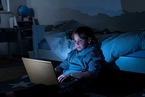 Boy, at home on the computer, laptop, in the children's room, playing a game