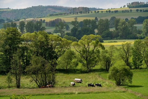 Landscape in the south of Lichtenfels, in Hesse, Germany, Europe