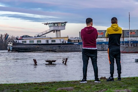 Flood on the Rhine, flooded banks of the Rhine, old ferry landing stage, Rhine meadows, near