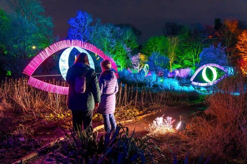 Parkleuchten, event in winter, in the Grugapark in Essen, many different light installations,
