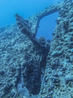 Propeller, stern, wreck of the Dunraven, Red Sea, Egypt, Africa