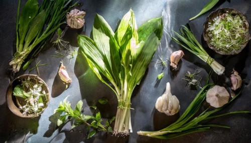 Various fresh herbs and vegetables artfully arranged on a surface with shadow play, wild garlic,