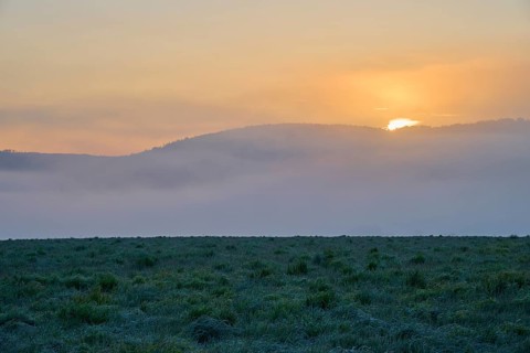 Sunset behind fog-covered hills with a green meadow in the foreground, Mönchberg, Miltenberg,
