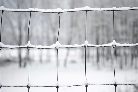 Metal Fence with Snow in a Winter Day in Locarno, Ticino, Switzerland, Europe