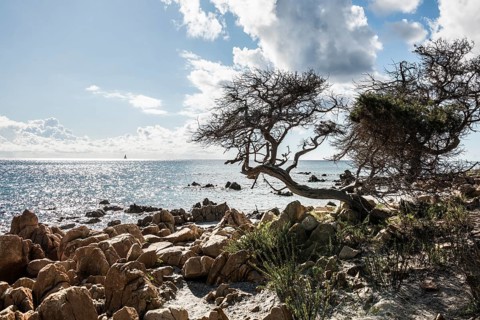 Lonely beach, Spiaggia di Biderosa, Riserva Biderosa nature reserve, Orosei, Nuoro province, east