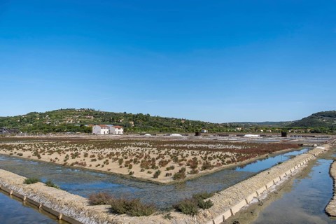 Strunjan Landscape and nature park Park, salt pans with salt pans houses, Strunjan, Slovenia,