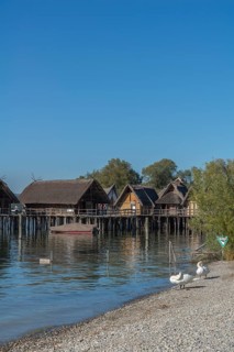 Unteruhldingen, pile-dwelling museum, Lake Constance, reconstruction, Stone Age, swans, natural